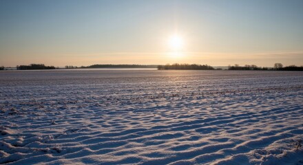 Wide snowy field at sunrise.  Soft light on a pristine winter landscape