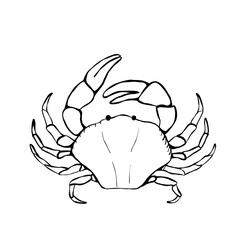 Crab outline black and white marine crustacean front view with claws simple line drawing for seafood menu branding packaging coastal decor and education