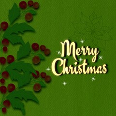The text Merry Christmas with holly berries elements and a poinsettia outline against a bright green background.