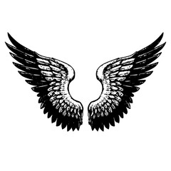 Obraz premium Asas de um Anjo