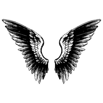 Asas de um Anjo