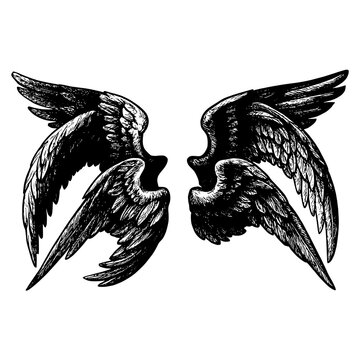 Asas de um Anjo