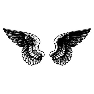 Asas de um Anjo