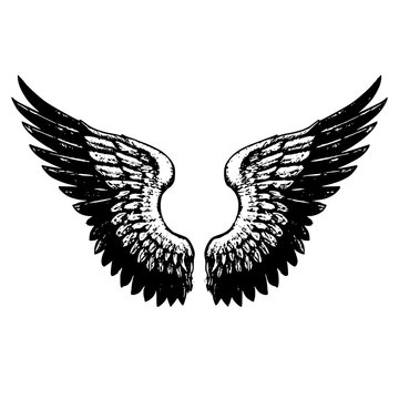 Asas de um Anjo