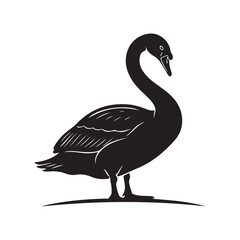 Elegant swan silhouette standing in profile black and white vector, black swan vector illustration