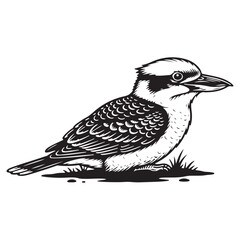 Vector illustration of a bird, Hand Drawn Vector Bird Illustration Sitting On Ground In Black Line Art