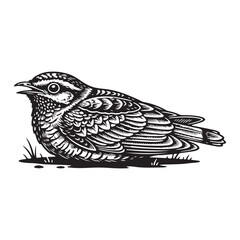 Hand drawn vector illustration of a bird, Detailed Bird Sitting Vector Illustration On White Background