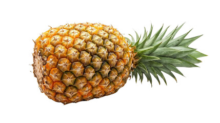 Pineapple Transparent Background &ndash; Isolated Tropical Fruit Photo for Healthy Food and Culinary Design
