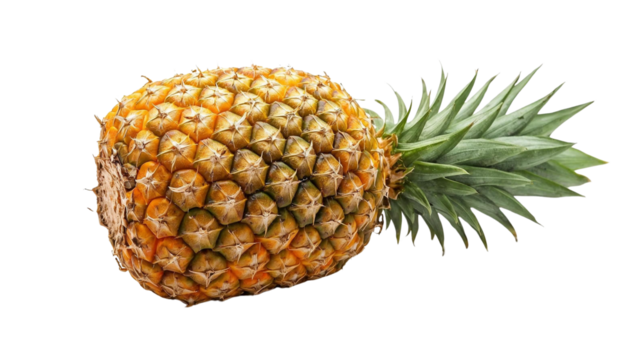 Pineapple Transparent Background – Isolated Tropical Fruit Photo for Healthy Food and Culinary Design
