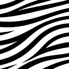 Dynamic Black and White Zebra Stripe Pattern Abstract Background.
