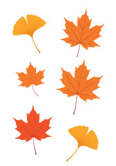 Autumn leaves in orange and red hues are arranged to showcase natural textures and seasonal warmth for creative design inspiration.