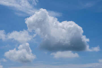 A large, fluffy white cloud appears to resemble the shape of a capybara, floating gently against a bright blue sky