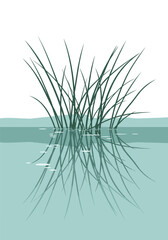 Wetlands grass silhouettes rise from a tranquil lake with a soft horizon and their mirrored reflection stretches across the water creating a serene scene.