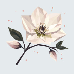 Geometrische Illustration einer hellen Christrose mit Bl&uuml;ten und Knospen. Polygonaler Low-Poly-Stil, botanisches Wintermotiv.