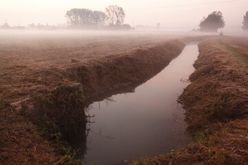the fog at dawn in the cultivated fields of the countryside