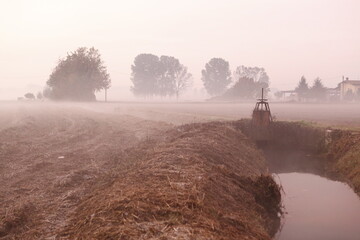 the fog at dawn in the cultivated fields of the countryside