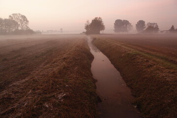 the fog at dawn in the cultivated fields of the countryside