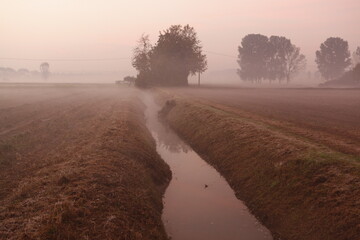 the fog at dawn in the cultivated fields of the countryside