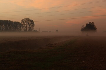 the fog at dawn in the cultivated fields of the countryside