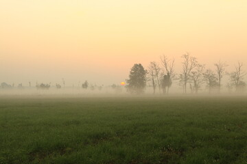 the fog at dawn in the cultivated fields of the countryside
