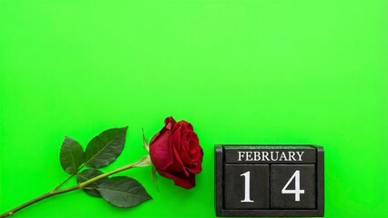 Stunning red rose with a February 14th calendar date creates a romantic Valentine's Day message or promotion on vibrant green