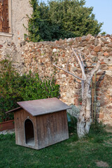 mussel cooked served in white dish