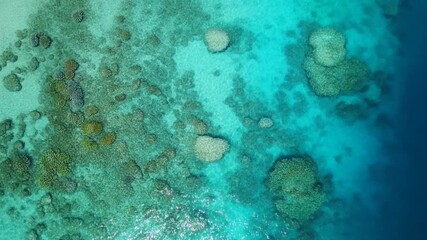 Experience the vibrant turquoise waters and thriving coral reefs from a breathtaking aerial view, ideal for travel and environmental awareness campaigns