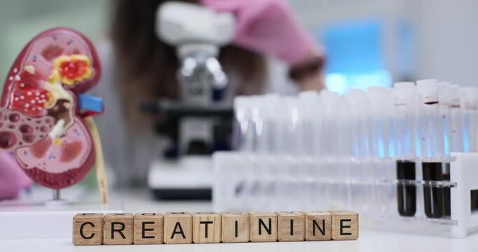 Wooden blocks spell word Creatinine near kidney model on lab table. Laboratory worker records creatinine result arranging notes for diagnosis