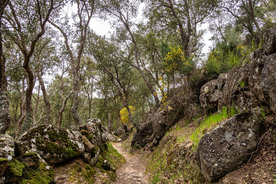 Hiking a walking route at Portalegre, Portugal. Percurso Pedestre de Galegos
