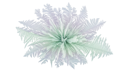 Isolated pattern of crystal formations, intricate and fragile design, ethereal beauty