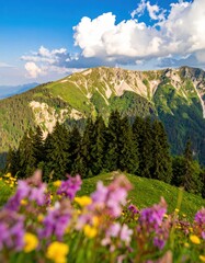 Vibrant wildflowers in a lush mountain meadow under a bright blue sky with majestic peaks and evergreen forests.