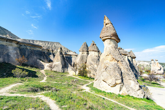 View of fairy chimneys rise majestically from the verdant landscape under a clear blue sky, creating a surreal and captivating panorama, Zelve, Cappadocia, Turkey.