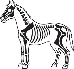 Black silhouette vector illustration of a domestic pony or stallion on white, suitable for farm animal drawing or art