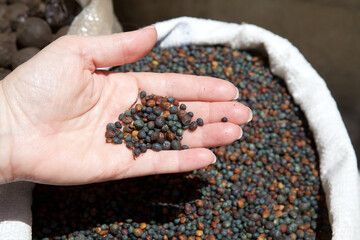 Pepper for sale at the market at Salt city in west-central Jordan. It is an ancient trading city