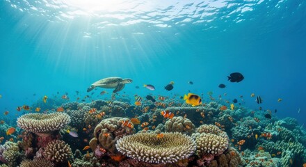 Underwater coral reef with a sea turtle and colorful fish swimming