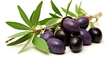 Fresh olives with leaves offer a taste of Mediterranean life, adding vibrant flavor to culinary creations and promoting wellness naturally