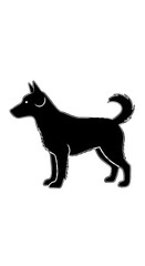 Silhouette of a Dog Standing Tall and Alert.