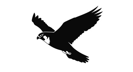 Silhouette of a Peregrine Falcon in Flight Against White.