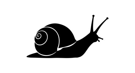 Silhouette of a Snail with Shell and Antennae. © MY
