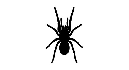 Silhouette of a Spider with Eight Legs.