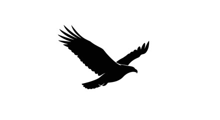 Silhouette of an Eagle in Flight Against White Background.