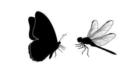 Silhouette of Butterfly and Dragonfly on White Background.