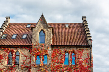 Medieval house covered with autumn vine leaves