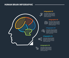 Human Brain anatomy infographic process diagram with head with side view and shading lines with smooth content list with dark background bright outline style 5 points