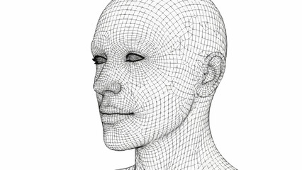 Detailed wireframe portrait of a human head, artistic digital rendering.