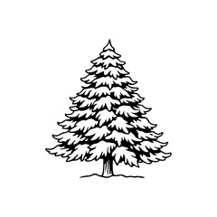 Obraz premium Pine tree illustration with detailed branches and trunk a classic evergreen symbol of nature and winter presented as a single object isolated on white background isolated on transparent background