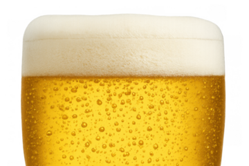 Cold refreshing lager beer with a frothy head creating numerous tiny bubbles, isolated on transparent background