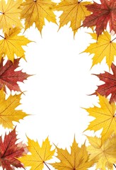 Frame border of yellow maple leaves and red oak leaves isolated on white background