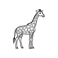 Giraffe illustration standing profile view a tall african mammal with a long neck and distinctive spotted pattern isolated on white background isolated on transparent background