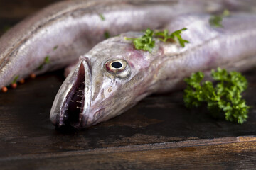 Fresh European hake fish on wooden board with parsley, Raw uncooked Merluccius merluccius close-up